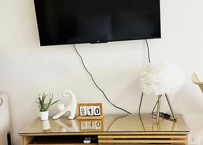 The Purrfect Nook Your Away From Apartment